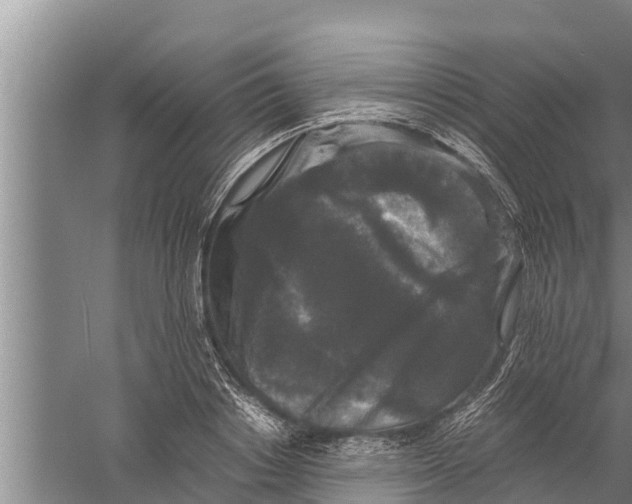 X0000058760842200510281916