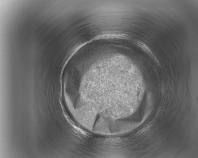 X0000058760844200510281916