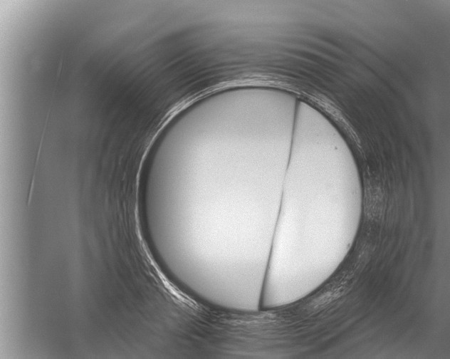 X0000058760845200510281916