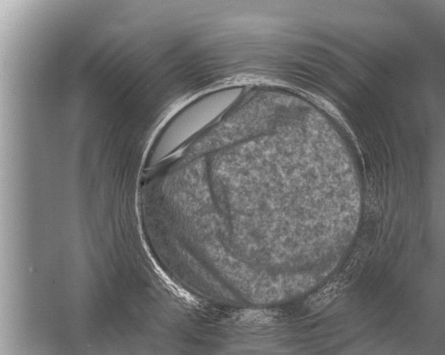 X0000058760847200510281916