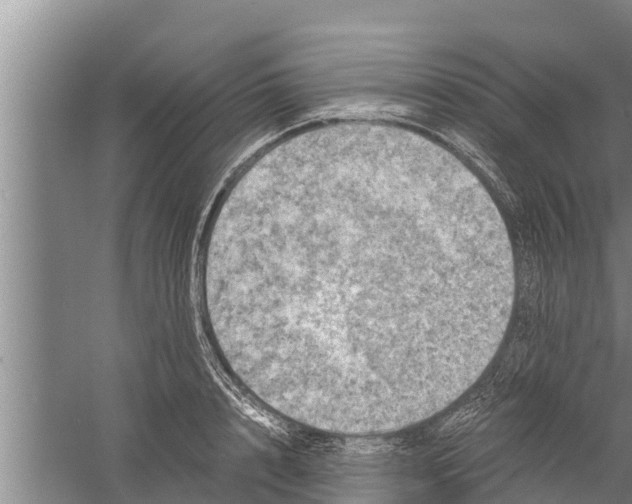 X0000058760848200510281916