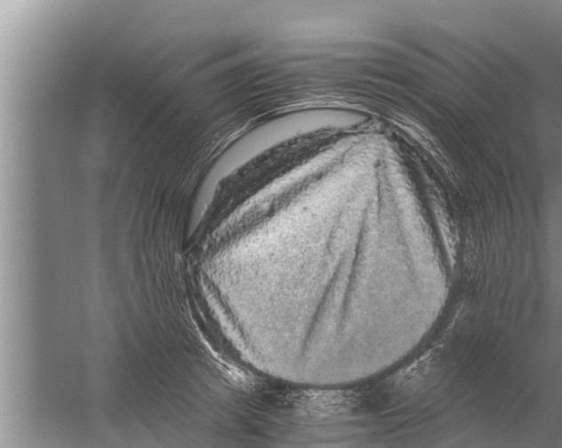 X0000058760849200510281916