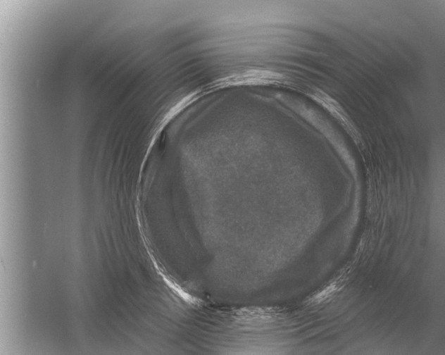 X0000058760850200510281916