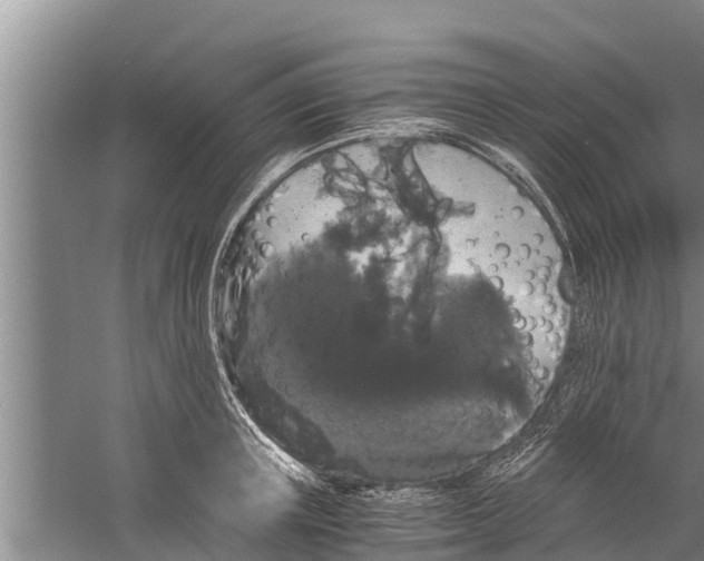 X0000058760851200510281916