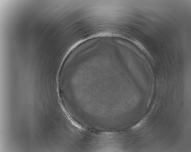 X0000058760854200510281916