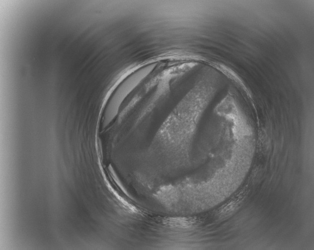 X0000058760855200510281916