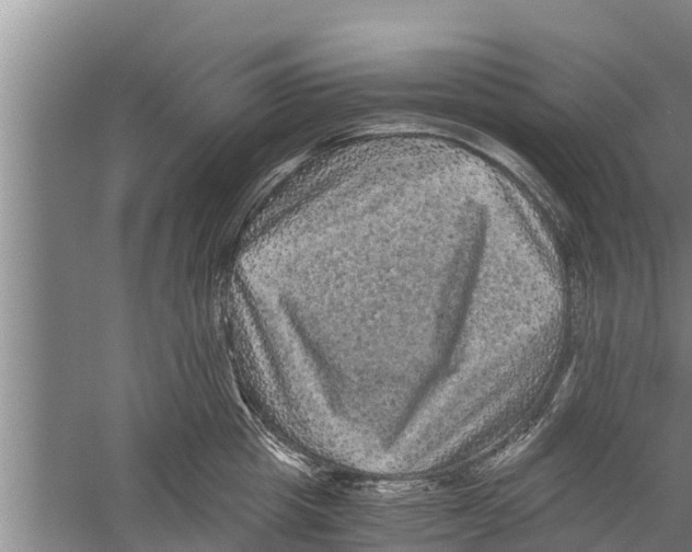 X0000058760857200510281916