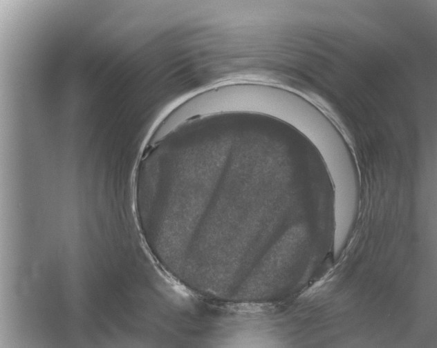 X0000058760862200510281916