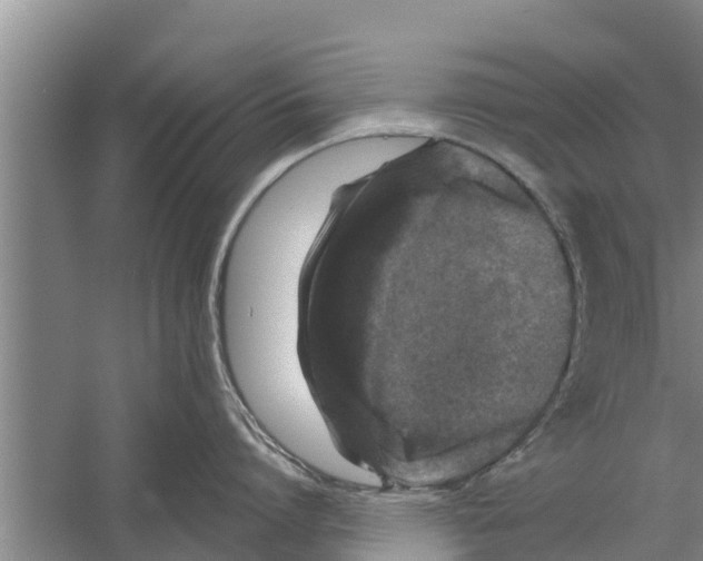 X0000058760864200510281916