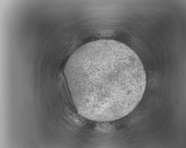 X0000058760866200510281915