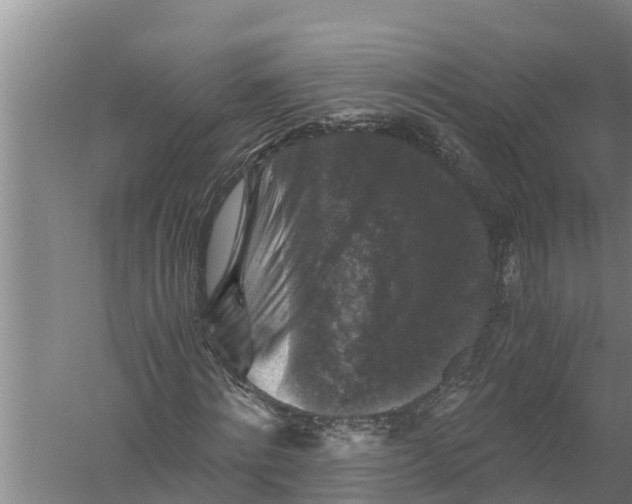 X0000058760868200510281915