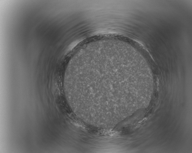 X0000058760871200510281915