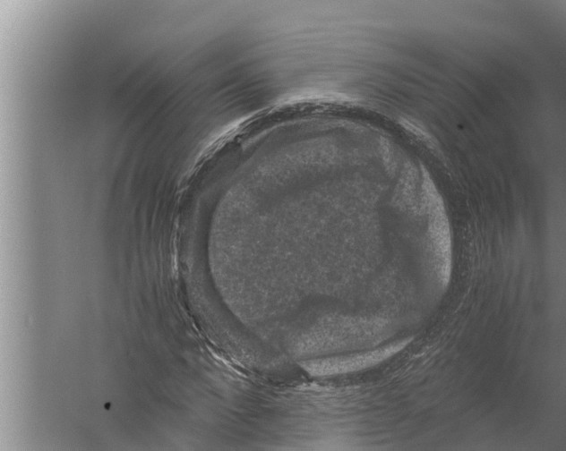 X0000058760872200510281915