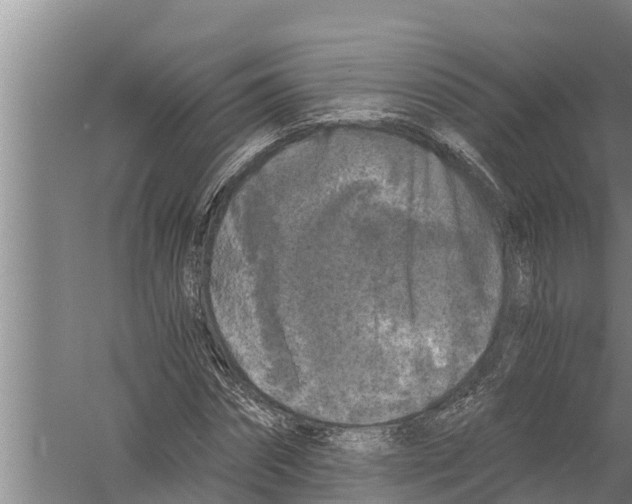 X0000058760874200510281915