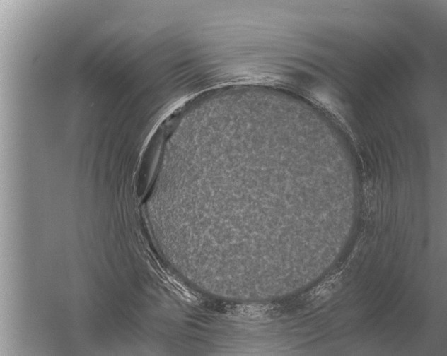 X0000058760875200510281915