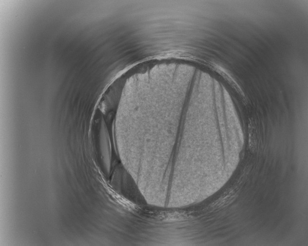 X0000058760876200510281915