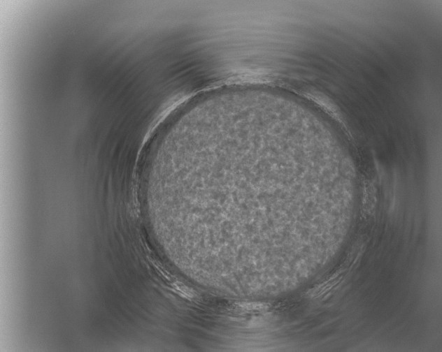 X0000058760878200510281915