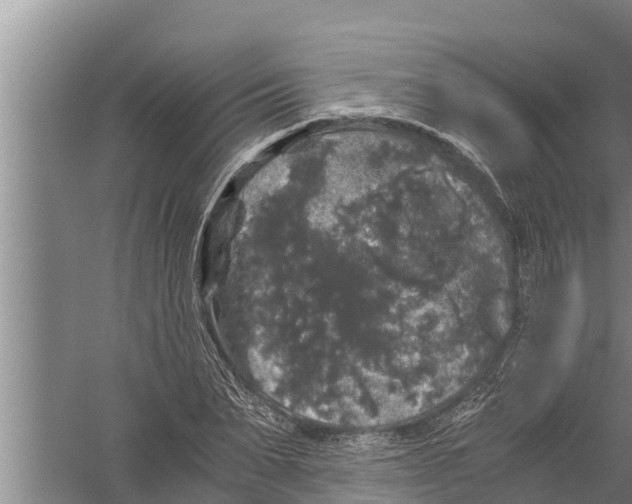 X0000058760879200510281915