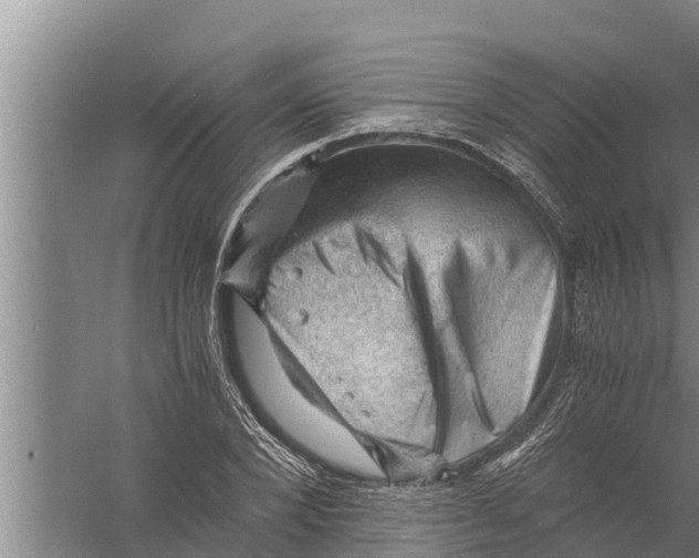 X0000058760880200510281915