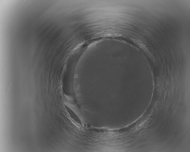 X0000058760881200510281915