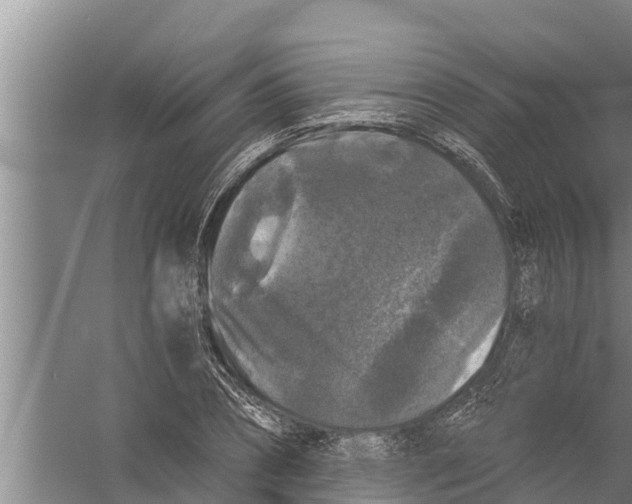 X0000058760882200510281915