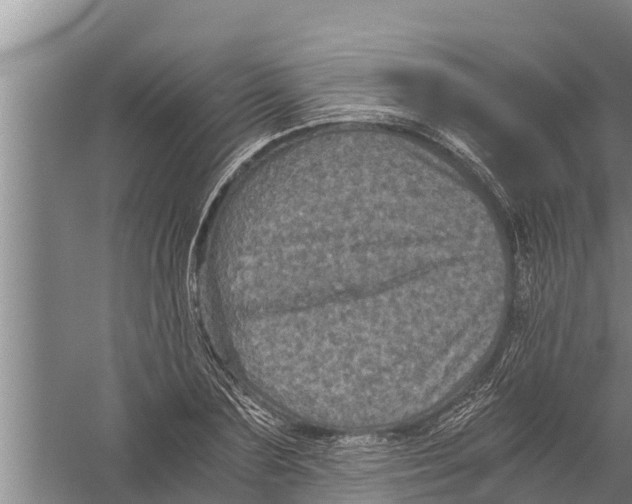 X0000058760883200510281915