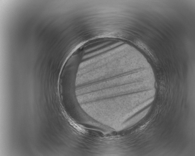 X0000058760884200510281915