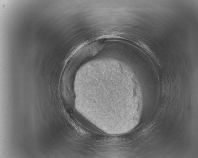 X0000058760885200510281915