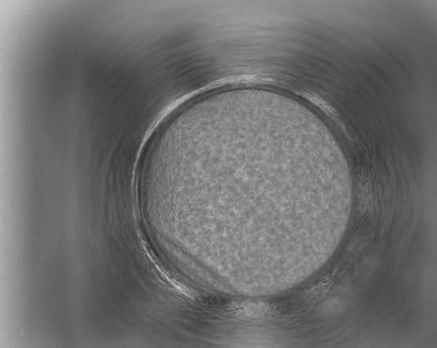 X0000058760886200510281915