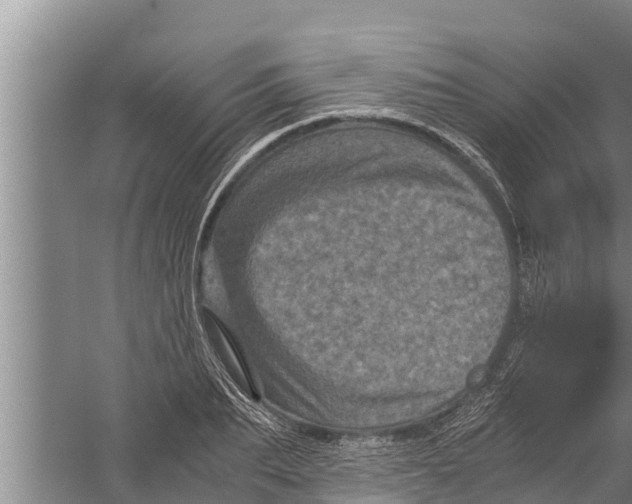 X0000058760887200510281915