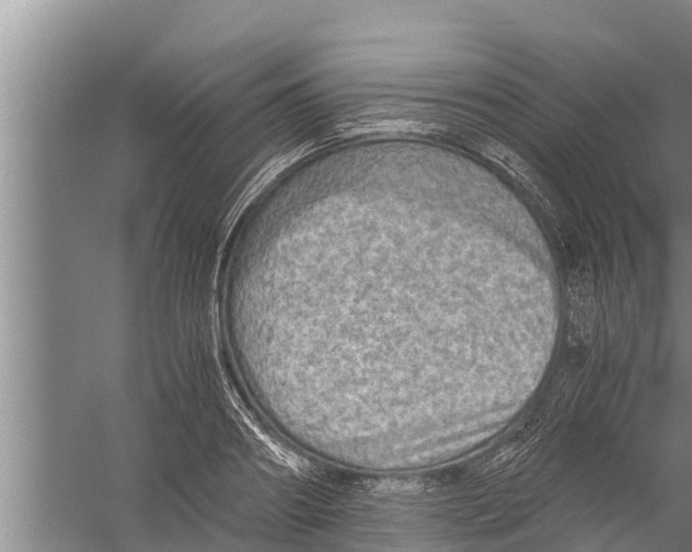 X0000058760890200510281915