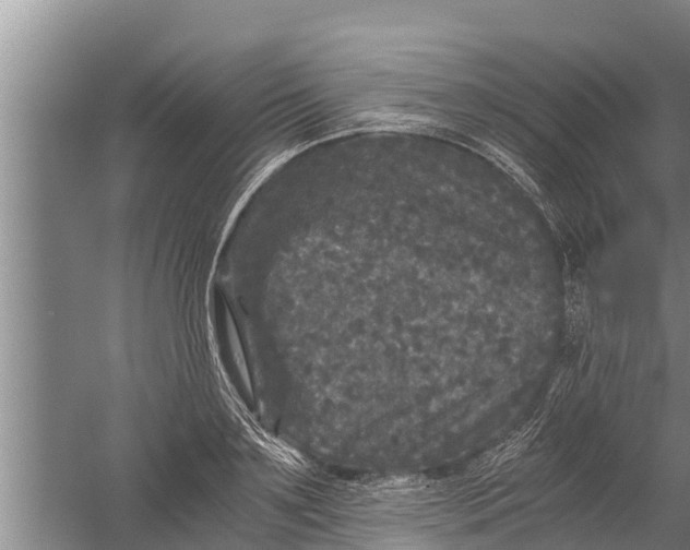 X0000058760891200510281915