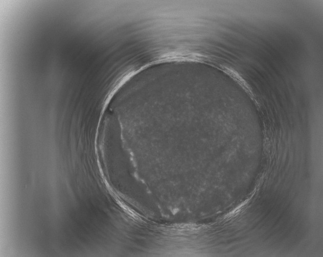 X0000058760893200510281915