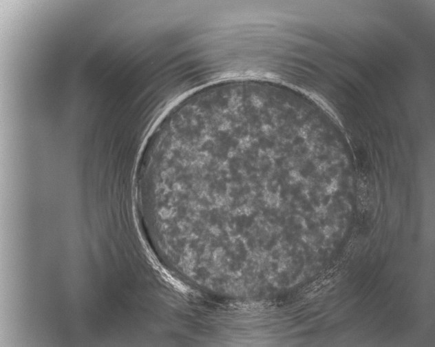 X0000058760895200510281915