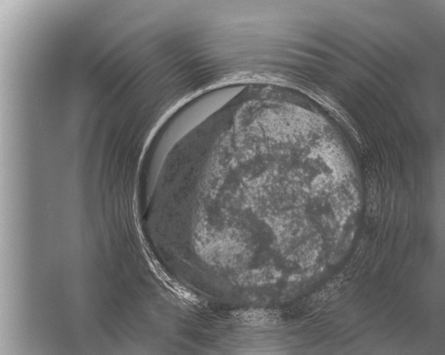 X0000058760896200510281915