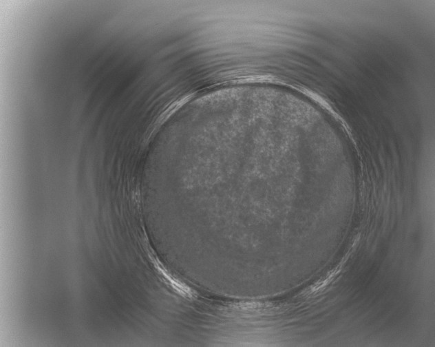 X0000058760897200510281915