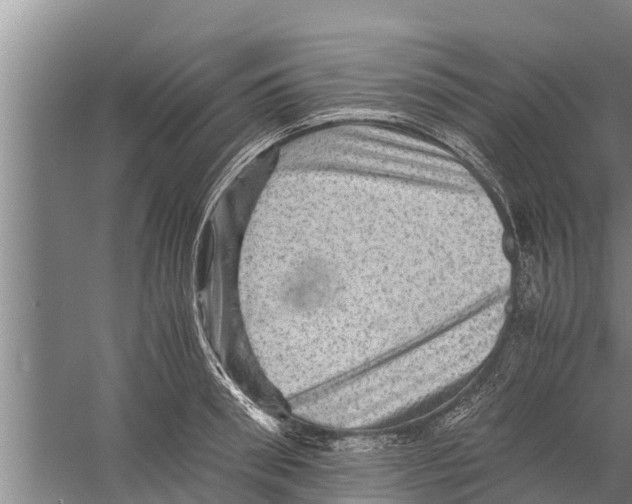 X0000058760898200510281915