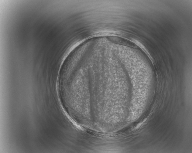 X0000058760901200510281915