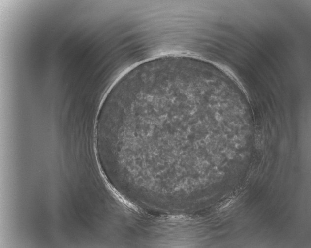 X0000058760903200510281915