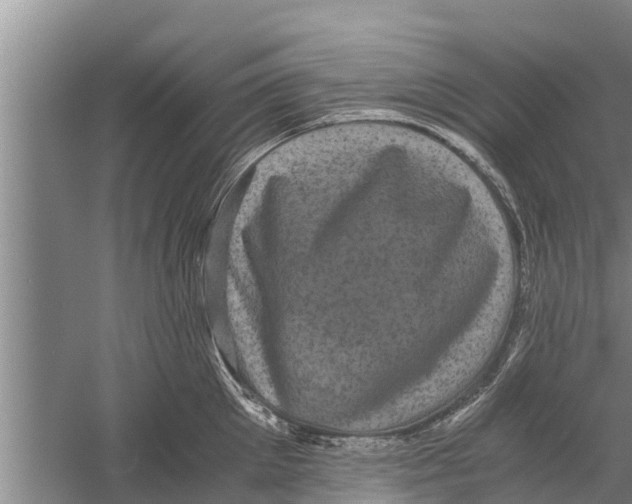 X0000058760905200510281915