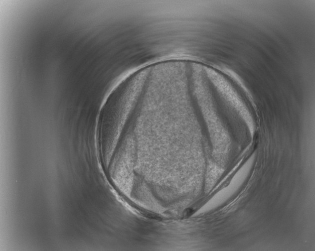 X0000058760910200510281915