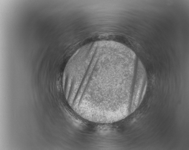 X0000058760914200510281914