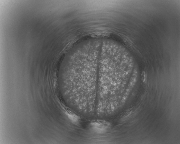 X0000058760915200510281914