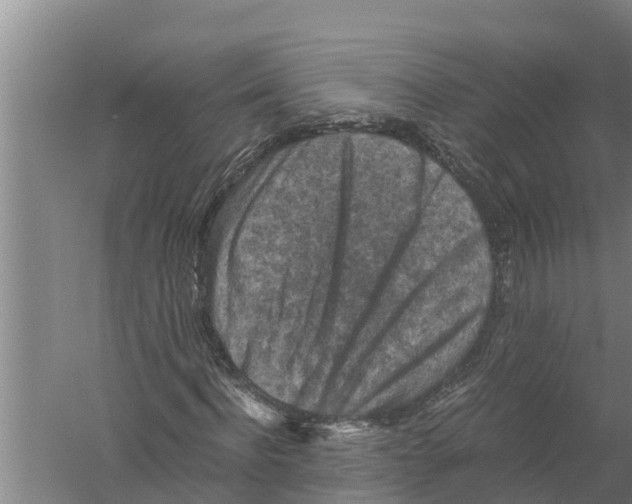 X0000058760916200510281914