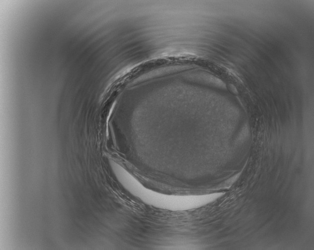 X0000058760920200510281914