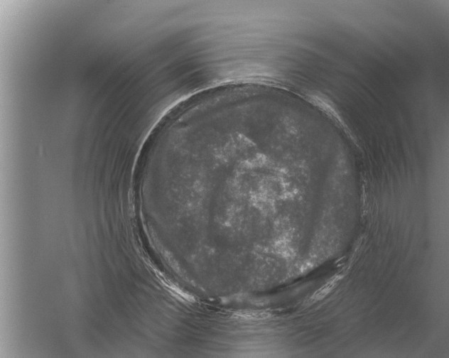 X0000058760924200510281914