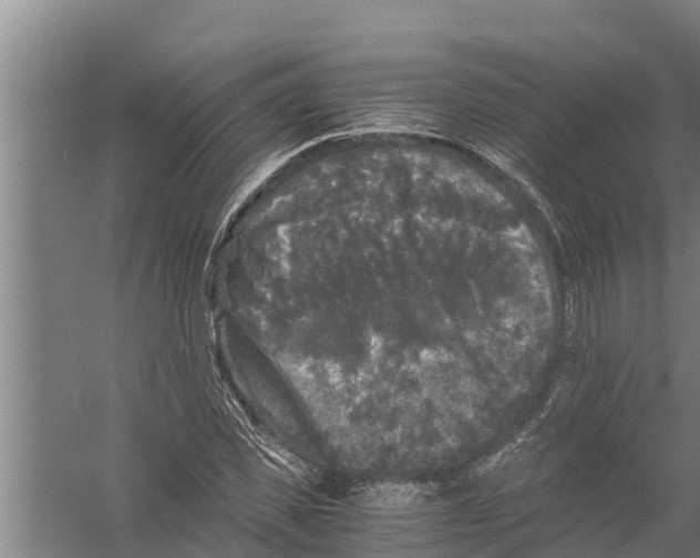 X0000058760925200510281914