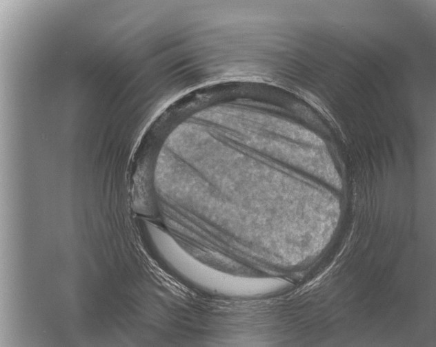 X0000058760926200510281914