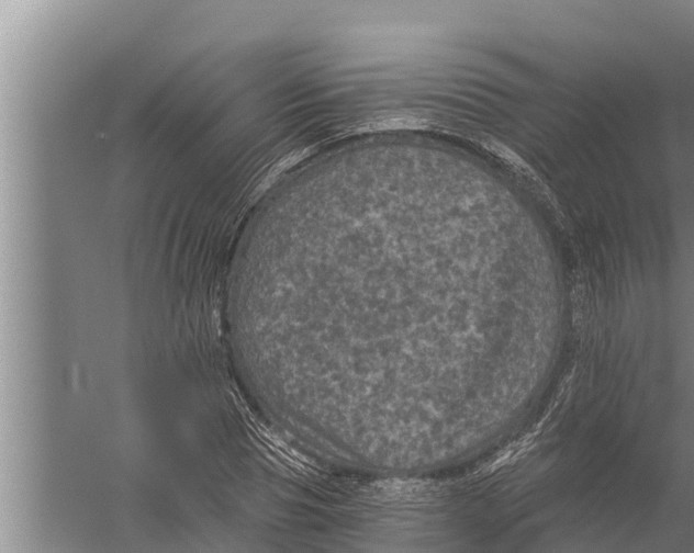 X0000058760929200510281914