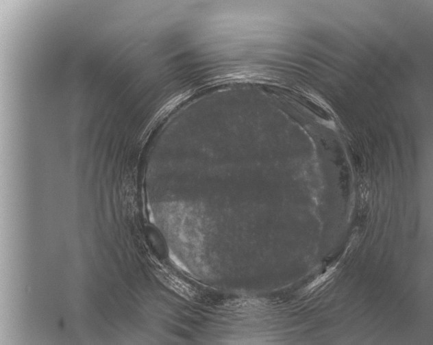 X0000058760930200510281914